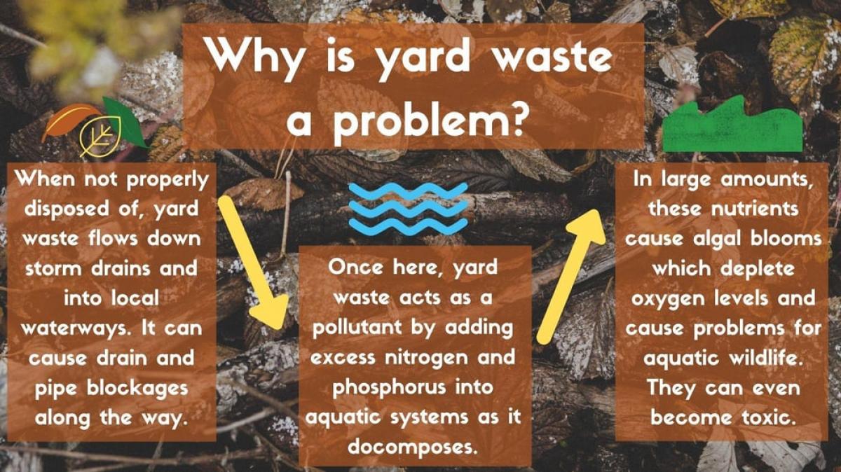 Why is yard waste a problem for the waterways?